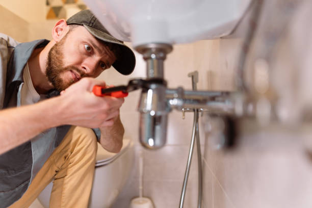 Best Residential Plumbing Services  in Baldwin, MI